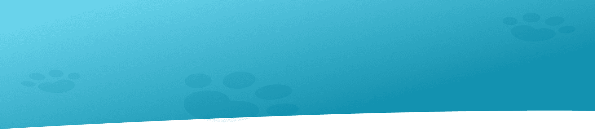 Banner background