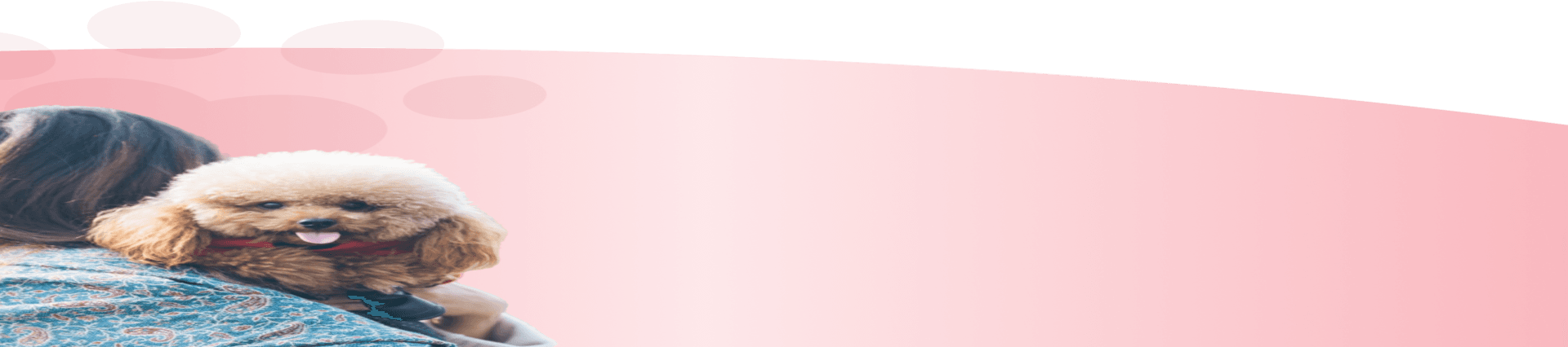Banner background