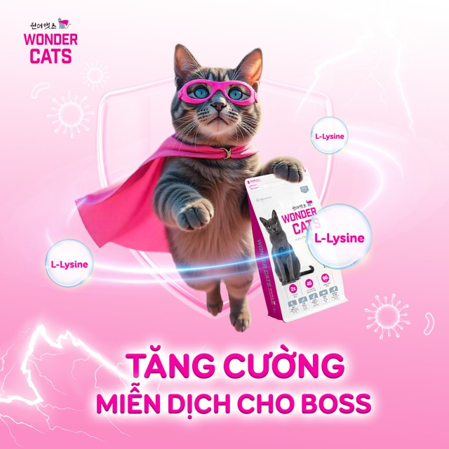 Hiểu rõ vai trò của Taurine cho mèo và cách bổ sung hiệu quả