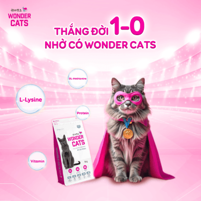 Decode Cat Kibble Ingredients with Wonder Cats